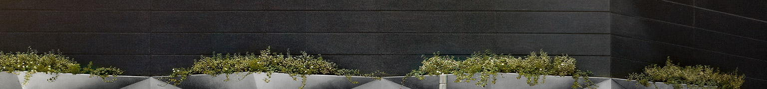 Audi Financial Services Home